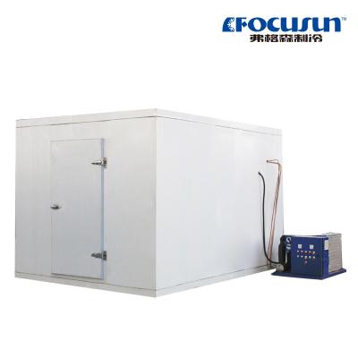 China Cold Room Freezer for Vegetables Fruit Meat And Seafood for sale