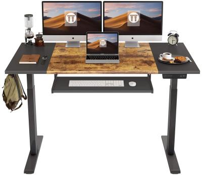 China (Height)New Electric Height Adjustable Motorized Adjustable Computer Standing Desk For Home Office for sale