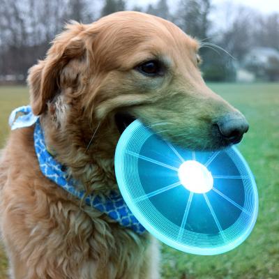 China Stored Outdoor Luminous LED Flying Disc Dog Pet Stress Night Light Training Toys for sale