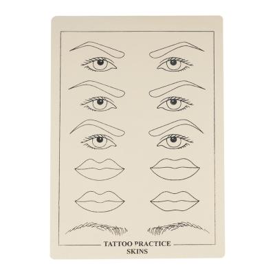 China Tattoo Shops Professional Constant Make Up Eyebrow And Lip Practice Skin for sale