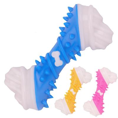 China New Pet Dog Toy Trainer TPR Creative Bone Toy Stored Interactive Dog Chew Toy for sale