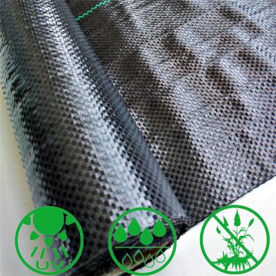 China Eco Friendly PP Or PE 1x50m 1x100m Anti Plant Weed Control Fabric In Brown Black Green White Color for sale