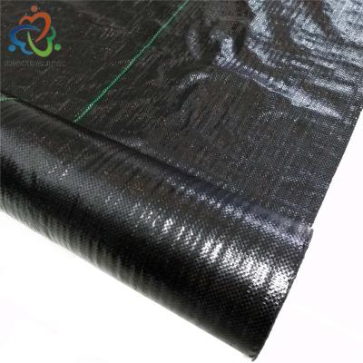 China China Ground Cover Fabric Factory Landscape Fabric PP Or PE Weed Control Mat Manufacturer for sale