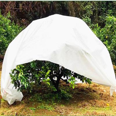 China Moth Proof Agricultural Canvas Cover in White Color PP Spunbond Nonwoven Fabric for sale