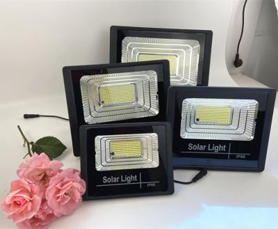 China Solar Garden Flood Light Led Solar Flood Light 100w Outdoor Garden With Remote Control for sale