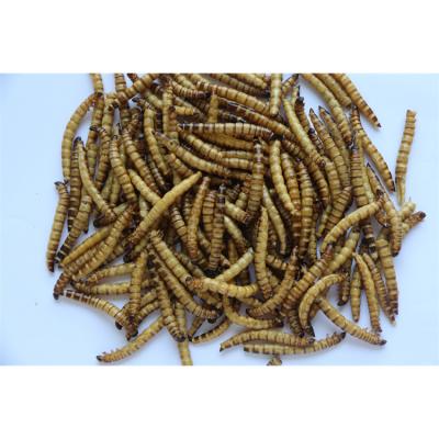 China 2022 New High Quality Finely Processed Bird Food Turtle Pet Food Super Worm for sale