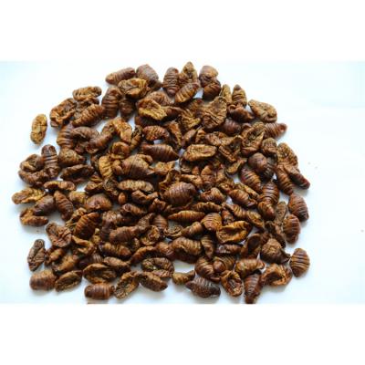 China Wholesale Finely Processed Bird Food Manufacturer Freeze Dried Chrysalis Silkworms for sale