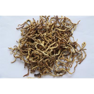 China Fish Food Factory Price Dry Storage Delicious Fish Food Worms For Eat for sale