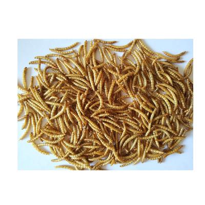 China Chinese Bird Food Factory Price Finely Processed Pet Food Dry Mealworm For Asale for sale