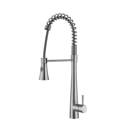 China Other Factory Direct Supply Luxury Pull Out Kitchen Faucets Faucet Water Tap for sale