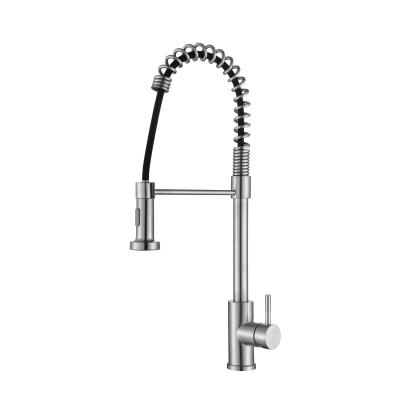 China China Factory Black Faucets Chrome ABS Modern 2 f Kitchen Faucet Pull Down Sprayer With Factory Price for sale