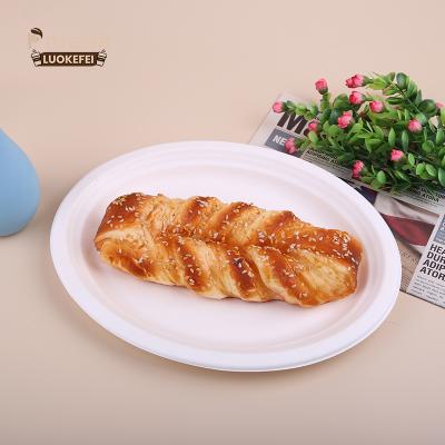 China Wholesale Disposable Sugarcane Bagasse Dinner Dish 12in Disposable Dishes Sugarcane Bagasse for sale