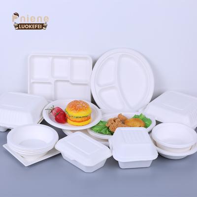 China 100% Biodegradable Disposable Sugarcane Food Container Sugar Cane Bagasse Compostable Tableware for sale