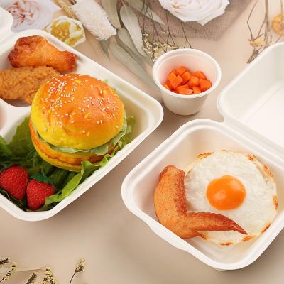 China Disposable Disposable Sugar Cane Bagasse Tableware Two Compartment Biodegradable Bagasse for sale