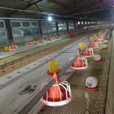 China Poultry Farms 2015 Full Controlled Automatic Chicken Farm Equipment For Broiler for sale