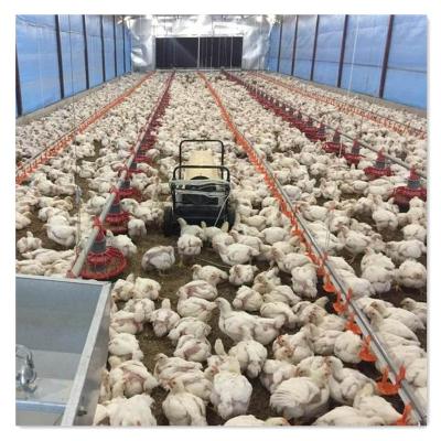 China 2017 Popular Selling Farms Chicken Farm Supplies Farm Equipment Automatic Chicken Te koop