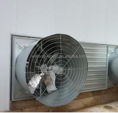 Κίνα Farms Poultry House Farm Threw Ventilation Exhaust Poultry Cooling Fan προς πώληση