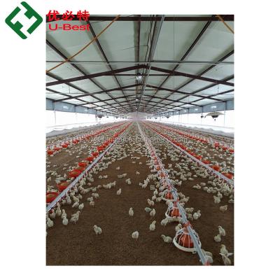 China Automatic Poultry Farm Equipment Chicken Farms China Factory Supply Te koop