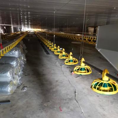 China Farms Automatic Poultry Equipment Feeder For Broilers en venta