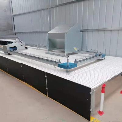 China Farms Factory Supply Low Price Breeder Chicken Feeding System Equipment For Parent Stock zu verkaufen