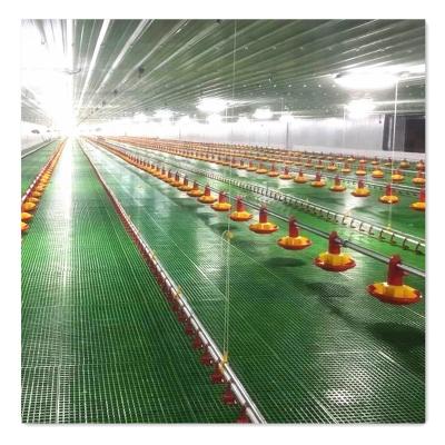 China House Turnkey Broiler Chicken Equipment Blueprint Poultry Farms Project Operator/Drinker/Auto Fan/Protection/Cooling Heater zu verkaufen