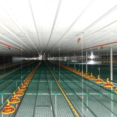 China Farms Philippines House Design Tunnel Ventilation Poultry Shed Farm Equipment Automatic Feeding/Drinking/Fan For Growing Chickens en venta