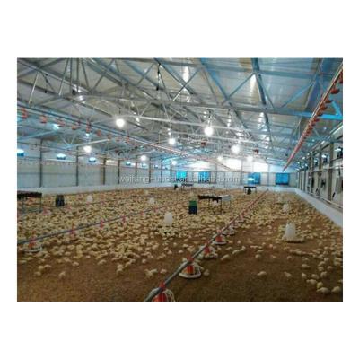 China Farms China Factory Supply Poultry Farm House High Modern Design For Chicken à venda