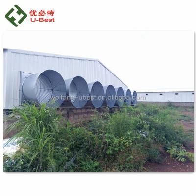 China Modern Low Price Modern Poultry Farm Chicken Buildings Shed For Sale en venta