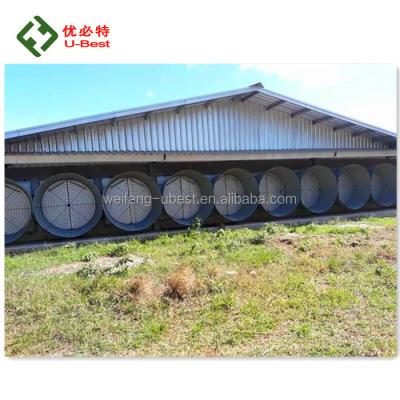 China Farms Steel Structure Broiler Farm House Design Automatic Controlled Prefab Chicken House en venta