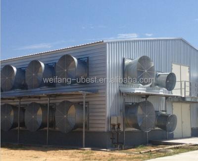 China Farms Frame Type Steel And Metal Steel Material Poultry Shed / Galvanized Chicken Equipments Shed /chicken House Shed Te koop