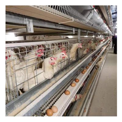 China HOT Selling Complete Automatic Egg Chicken Poultry Farming Equipment Battery Layer Cages In South Africa Te koop