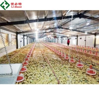 Chine Farms New Design Poultry Automatic Feeding System For Broiler Farm à vendre