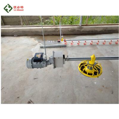 China Automatic Farms Poultry Feeding System With High Quality And Competitive Price For Broiler And Breeder Chicken zu verkaufen