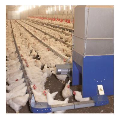 China Poultry farm newcomer feeder for chicken breeder egg laying nest poultry house for breeding chicken for sale