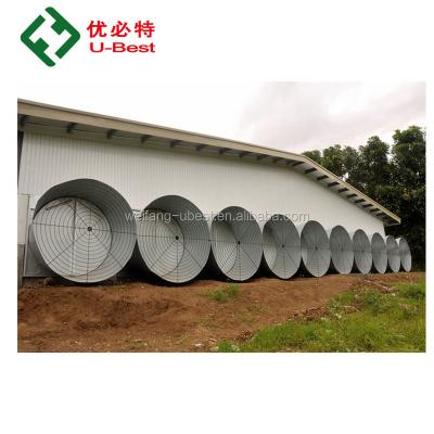 중국 Farms Supply Poultry Farm Tunnel Ventilated Shed Chicken House Building For Sale In Philippines 판매용