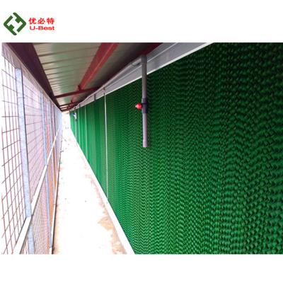 중국 Poultry houses combination best poultry protection cooling system for chciken farm 판매용