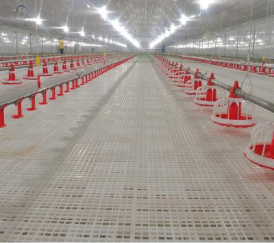 China Farms low price broiler floor raising system generation chicken farm house with roxell poultry equipment for chicken zu verkaufen