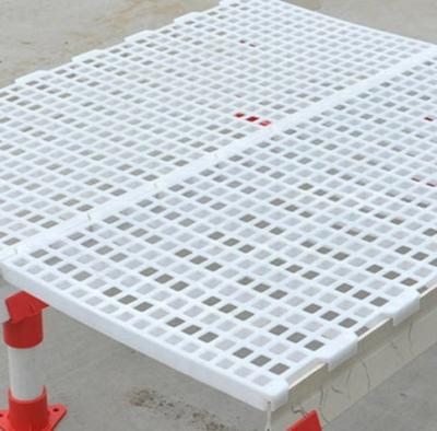 中国 Poultry farm factory price pp pure plastic slatted floor for poultry farm 販売のため