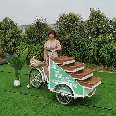 China Custom Mobile Food Cart Bike Food Cart Street Food Cart Flower Winery and Hand Beverage Cart Mobile Ice Cream for sale