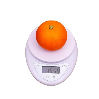 China With Tray Cheap Hot Sale Top Quality Kitchen Scale 5000g Electric Kitchen Scale Top for sale