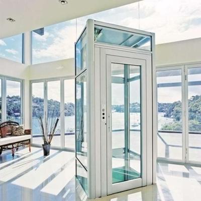 China Residential Elevators duplex elevator for home villas lift for sale