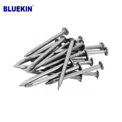 China Strong Professional Building Headed Galvanized Common Nail Wire Nail for sale