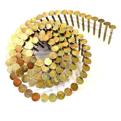 China Round Yellow Galvanized Coil Roofing Nail 1making Machine 1/4 .12mm for sale