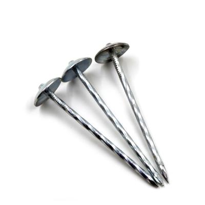 China Umbrella Flat Head Roofing Nails Corrugated Nails Galvanized Twisted Leg for sale