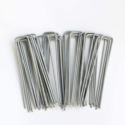 China 11#Gauge Staples Flat Ground Landscape Garden Dowel Nails for sale