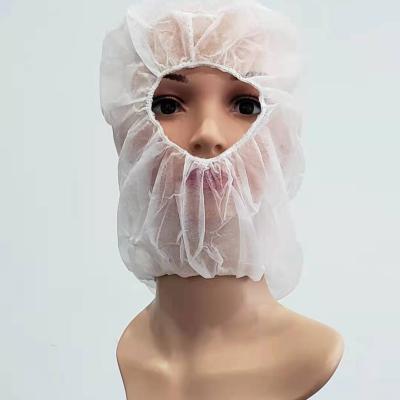 中国 High Quality Disposable PP Astronaut Caps Non woven Hairnet Cap Hood Cover Non-woven Hood Balaclava Face Cover 販売のため