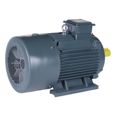 China YE2 Totally Enclosed 22kw 3 Phase AC 220v / 380v Electric Motor Induction Motor for sale