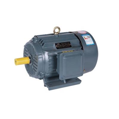 China YE2 2P Series Totally Enclosed Motor 4kw Three Phase Asynchronous Machinery Equipment Horizontal AC Motor Manufacturer for sale