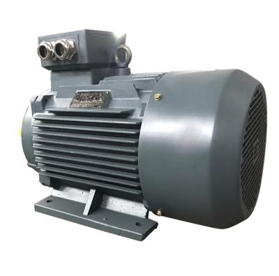 China Totally Enclosed Marine Motor Three Phase Asynchronous AC Motor For Boat Water Pump Motor Pump for sale