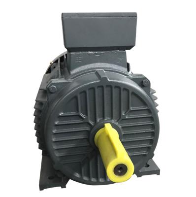 China High Efficiency Totally Enclosed Three Phase Electric Motor For Boat 10kw 15kw 5kw for sale